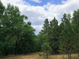 TBD Timberline Road - Photo 4