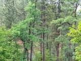 TBD Timberline Road - Photo 5