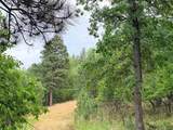 TBD Timberline Road - Photo 6