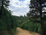TBD Timberline Road - Photo 7