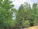 TBD Timberline Road - Photo 9