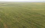 TBD Erk Rd - Photo 7