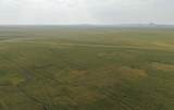 TBD Erk Rd - Photo 9