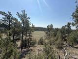 26094 Dewey Road - Photo 10
