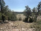 26094 Dewey Road - Photo 11