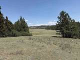 26094 Dewey Road - Photo 12