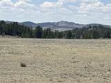 26094 Dewey Road - Photo 13