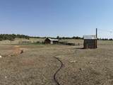 26094 Dewey Road - Photo 5