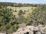 26094 Dewey Road - Photo 9