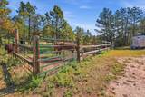11863 Argyle Road - Photo 43