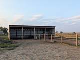 18509 Mail Road - Photo 48