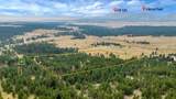 25604 Mountain Shadow Road - Photo 43