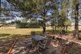 10447 Southern Cross Road - Photo 23