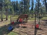 25555 Glen Erin Road - Photo 10