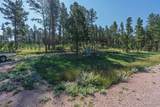 25555 Glen Erin Road - Photo 12