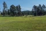 25555 Glen Erin Road - Photo 21