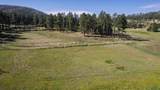 25555 Glen Erin Road - Photo 39