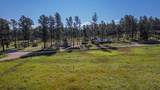 25555 Glen Erin Road - Photo 8