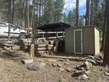 23747 Claim Jumper Road - Photo 8