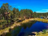 25332 Beaver Lake Road - Photo 8