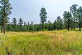 22278 Jenny Gulch Road - Photo 18