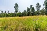 22278 Jenny Gulch Road - Photo 19