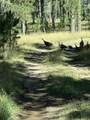 22278 Jenny Gulch Road - Photo 6