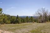 11583 Pay Dirt Pass - Photo 23
