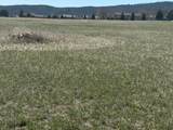 10989 Little Elk Creek Road - Photo 44