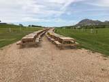 20494 Highway 79 - Photo 18
