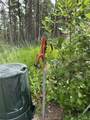 23856 Pioneer Ridge Rd - Photo 17
