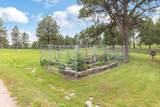 24577 Outback Trail - Photo 42