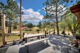 25406 Wind Song Valley Road - Photo 4