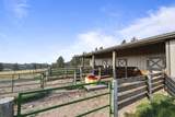 11585 War Bonnet Road - Photo 36
