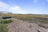 11585 War Bonnet Road - Photo 39