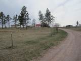 12523 Black Hills Flyway Road - Photo 29