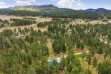 12354 Tin Cup Trail - Photo 36