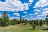 11766 Ridge Road - Photo 12
