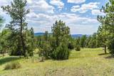 11766 Ridge Road - Photo 14