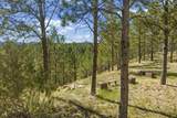 24705 Timber Ridge Road - Photo 25