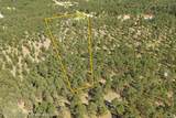 24705 Timber Ridge Road - Photo 28