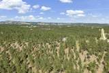 24705 Timber Ridge Road - Photo 30