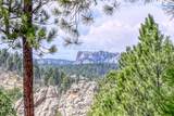 24452 Trackers Trail - Photo 45