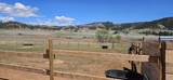 27094 Highway 385 - Photo 32