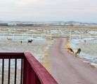 28534 Old Highway 18 - Photo 28