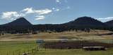 1961 Highway 585 - Photo 39