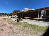 715 Mt. Rushmore Road - Photo 29