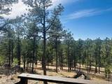 12127 Chickadee Lane - Photo 5