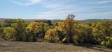 22314 Buds Drive - Photo 4