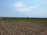 TBD Elm Springs Road - Photo 15